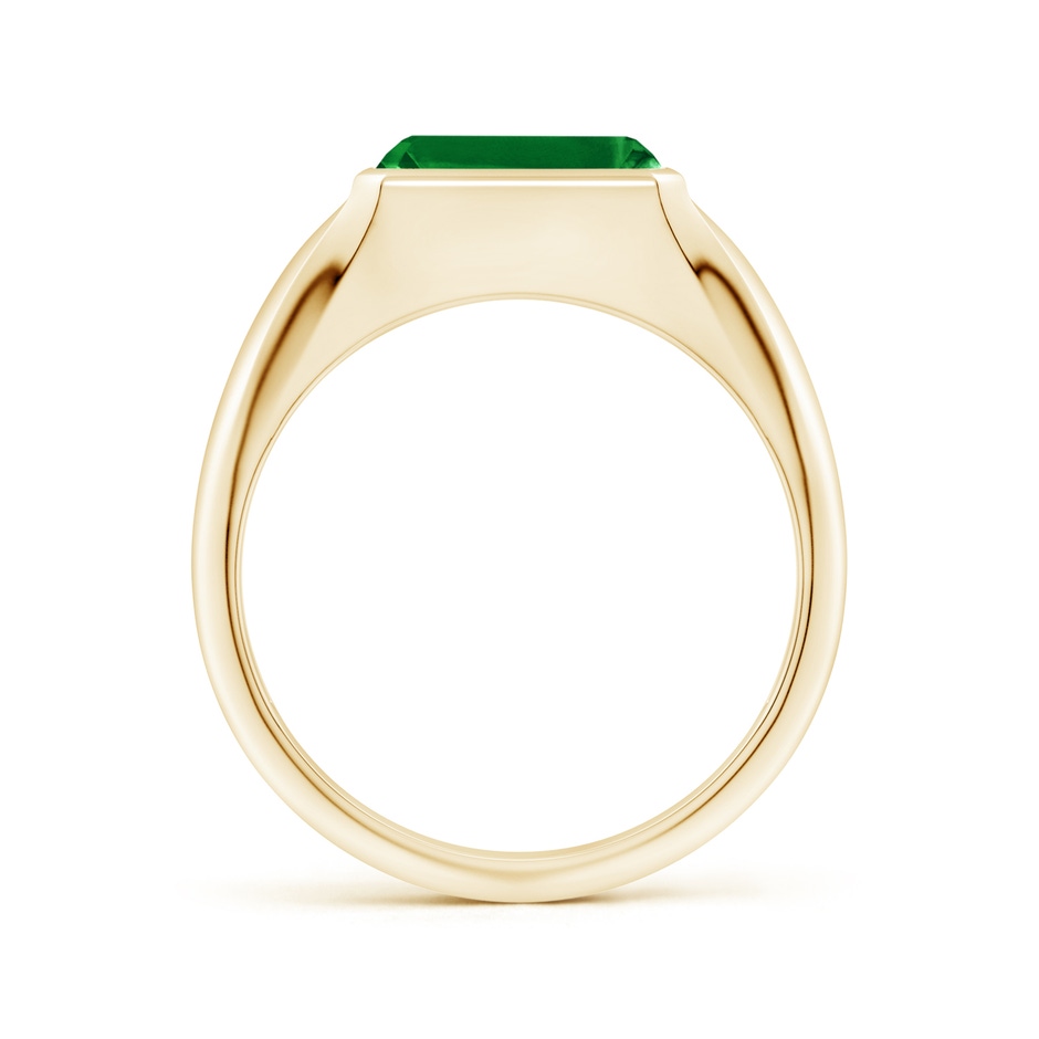 9x7mm AAAA Emerald-Cut Emerald Signet Ring in Yellow Gold side 199
