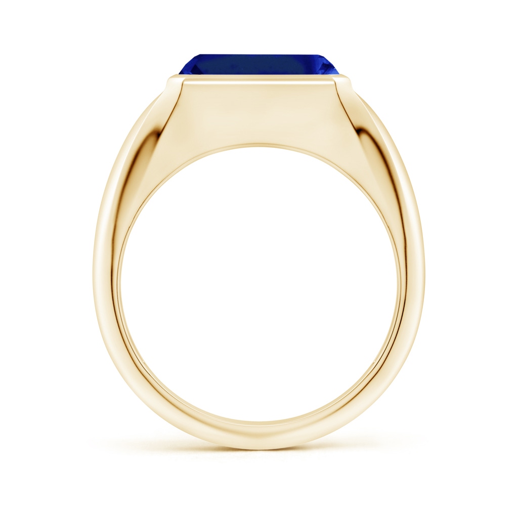 10x8mm Lab-Grown Emerald-Cut Blue Sapphire Signet Ring in Yellow Gold - side 199