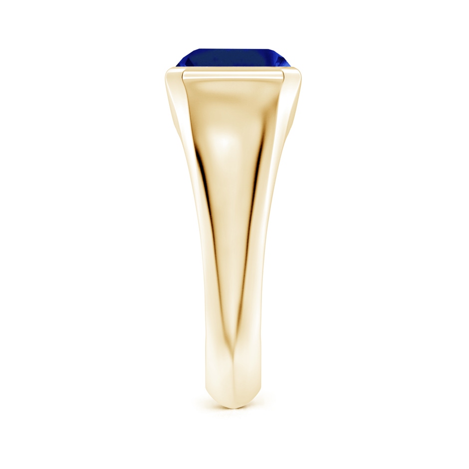 10x8mm Lab-Grown Emerald-Cut Blue Sapphire Signet Ring in Yellow Gold side 299