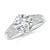 2 7/8 carats