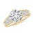2 7/8 carats