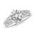 2 7/8 carats