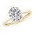 2 1/2 carats