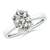 2 1/2 carats