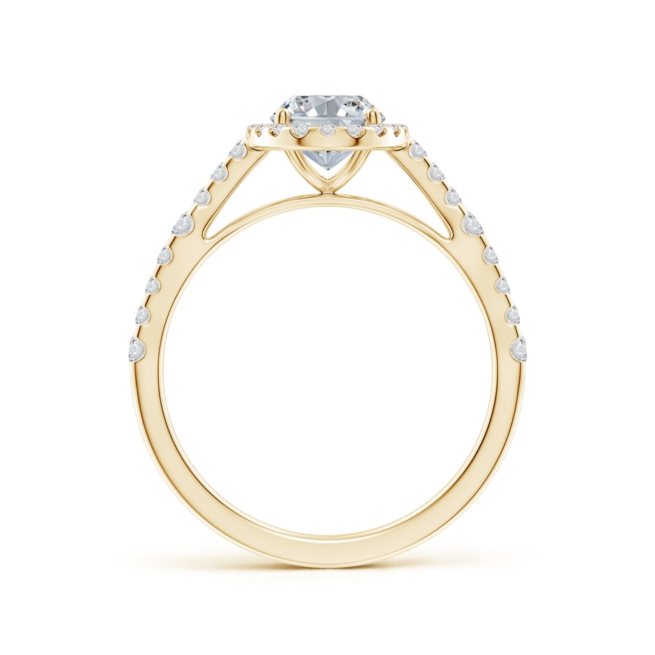 7.7x5.7mm HSI2 Oval Diamond Station Halo Engagement Ring in Yellow Gold side 199