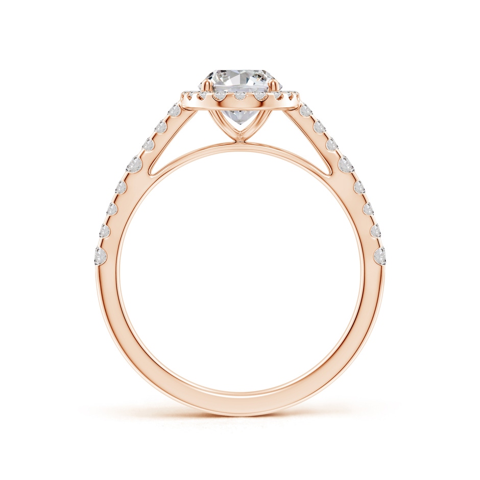 7.7x5.7mm IJI1I2 Oval Diamond Station Halo Engagement Ring in Rose Gold side 199