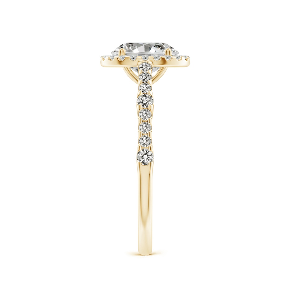 7.7x5.7mm KI3 Oval Diamond Station Halo Engagement Ring in Yellow Gold side 299