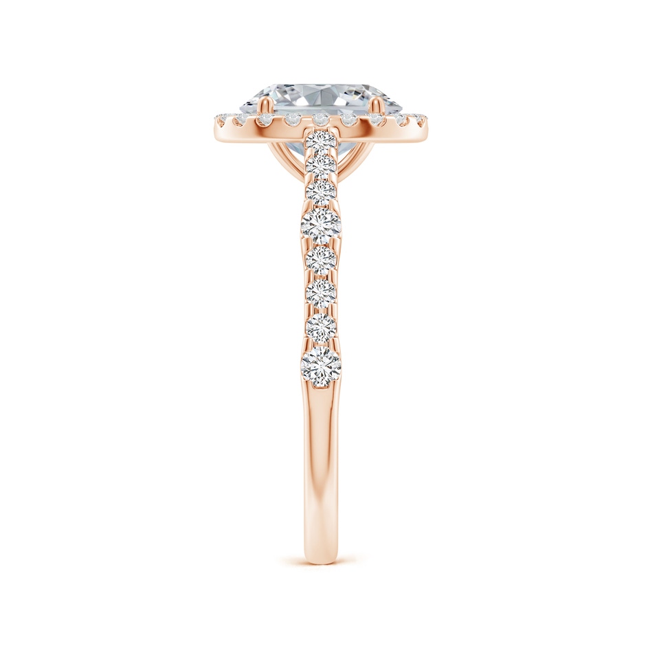 8.5x6.5mm HSI2 Oval Diamond Station Halo Engagement Ring in Rose Gold side 299