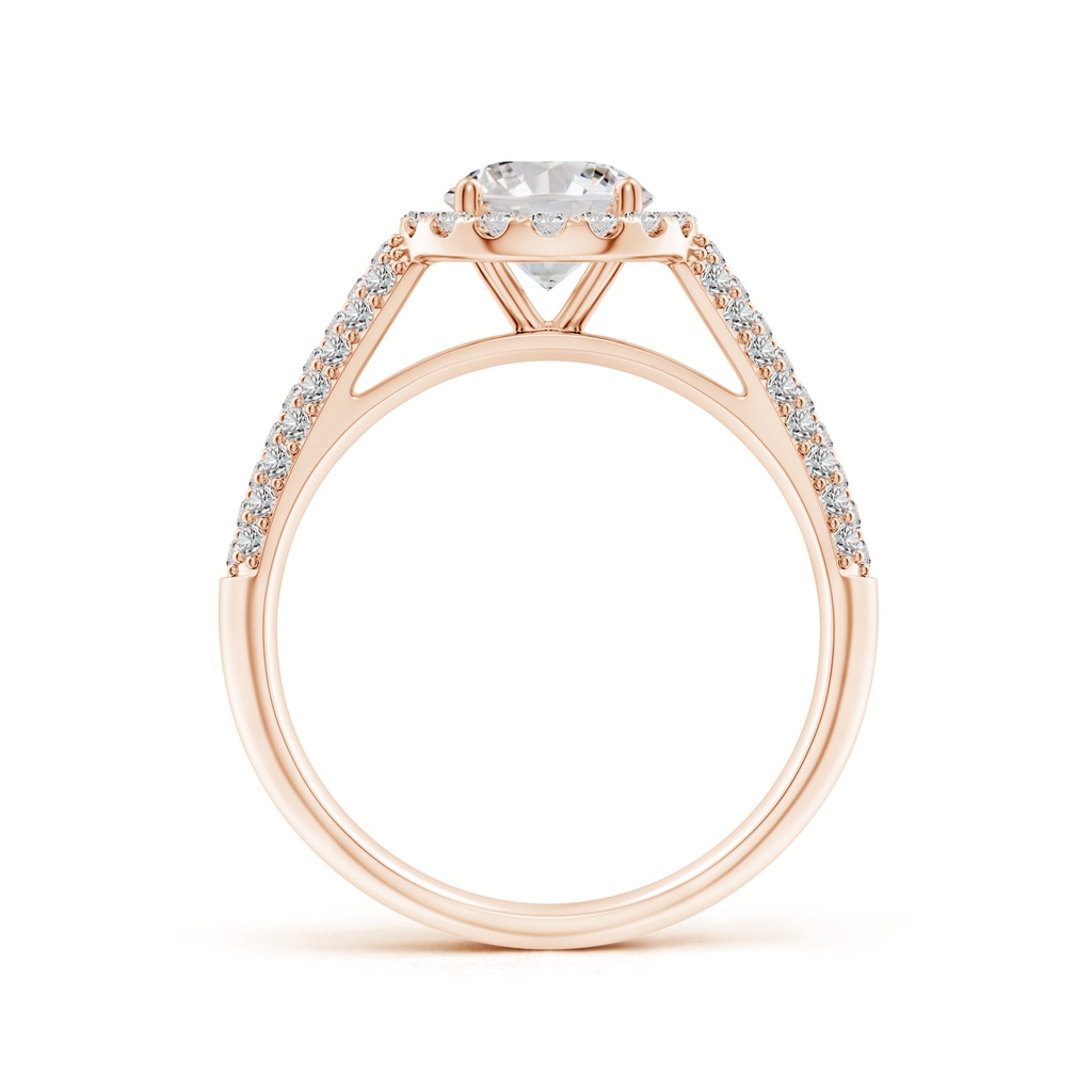 6.5mm IJI1I2 Round Diamond Halo Engagement Ring with Pave-Set Accents in Rose Gold Side 199