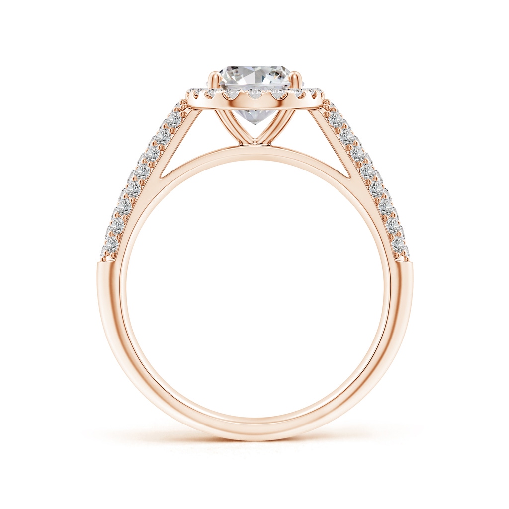 8.5x6.5mm IJI1I2 Oval Diamond Halo Engagement Ring with Pave-Set Accents in Rose Gold Side 199