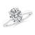 2 1/2 carats