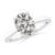 2 1/2 carats