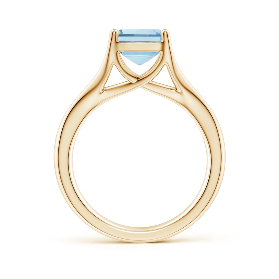 10x8mm AA Classic Solitaire Emerald-Cut Aquamarine Split Shank Engagement Ring in Yellow Gold side 199