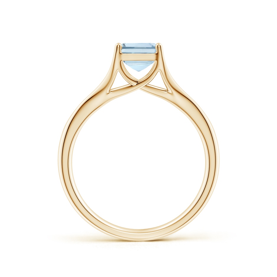 8x6mm A Classic Solitaire Emerald-Cut Aquamarine Split Shank Engagement Ring in Yellow Gold side 199