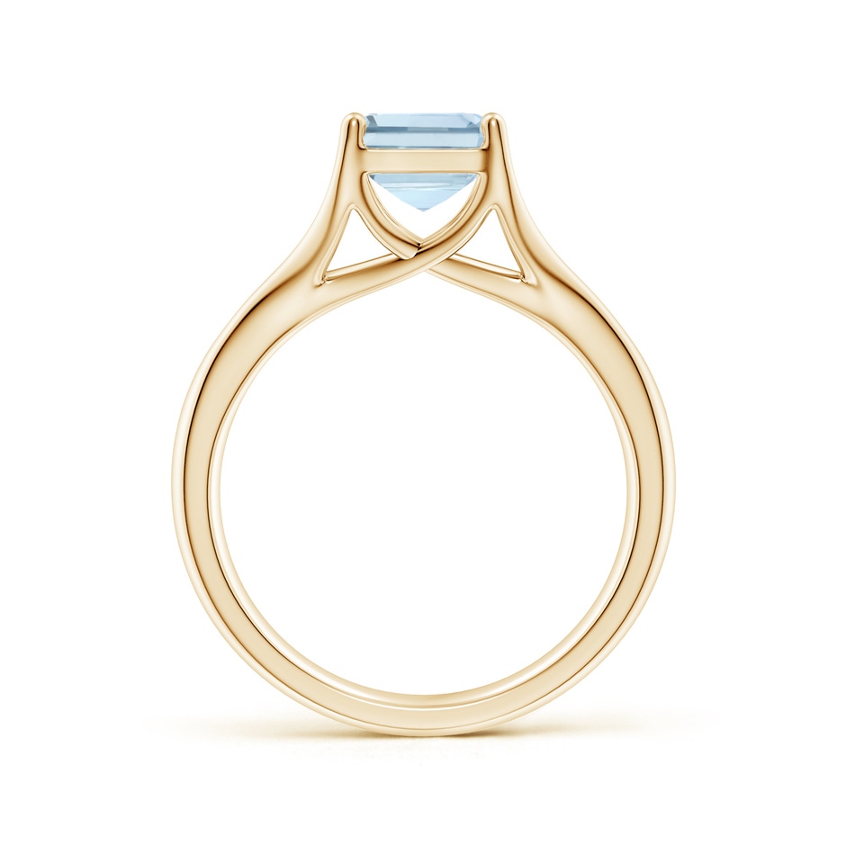 9x7mm A Classic Solitaire Emerald-Cut Aquamarine Split Shank Engagement Ring in Yellow Gold side 199