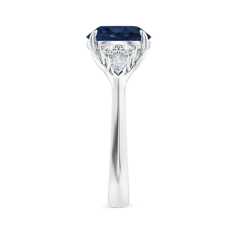 9mm AA Round Blue Sapphire Side Stone Engagement Ring with Diamonds in P950 Platinum side 299