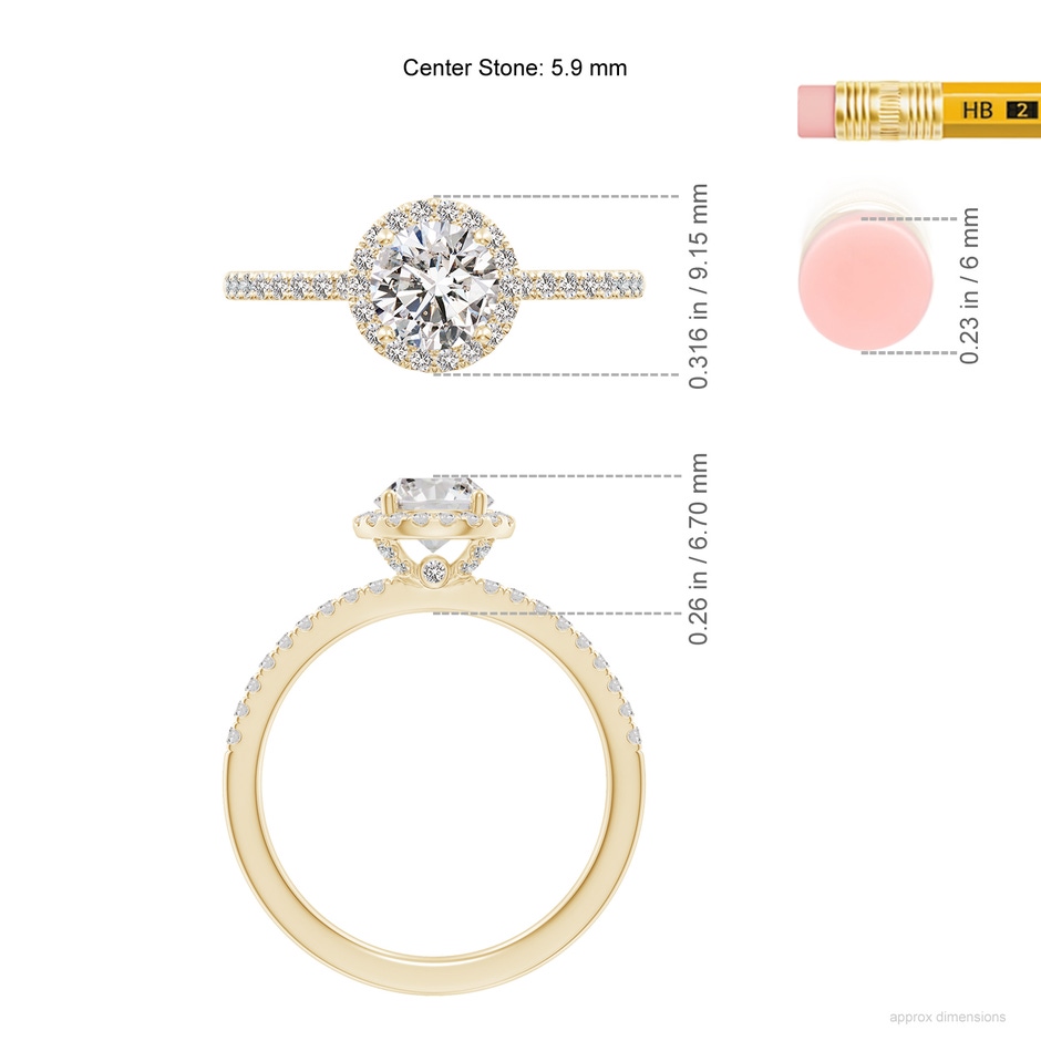 5.9mm IJI1I2 SR4516D-YG-IJI1I2-5.9 in Yellow Gold ruler