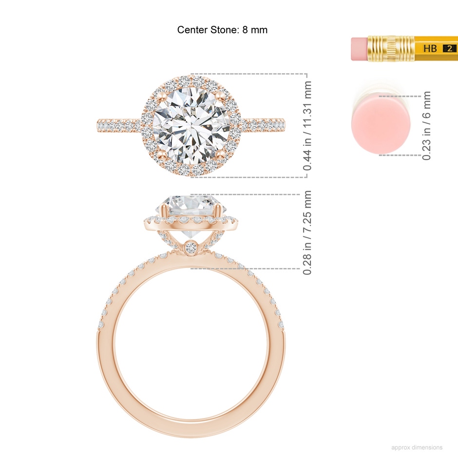 8mm HSI2 SR4516D-RGE-HSI2-8 in 18K Rose Gold ruler