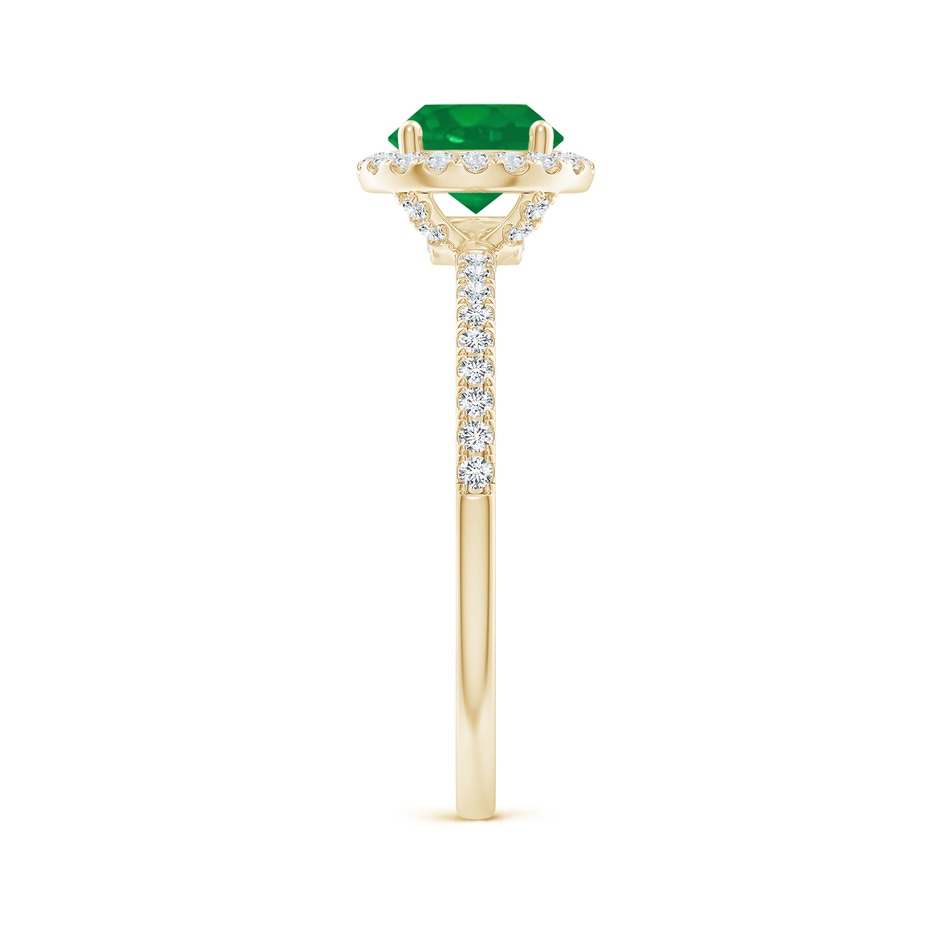 6.5mm AA Round Emerald Classic Halo Engagement Ring in Yellow Gold side 299