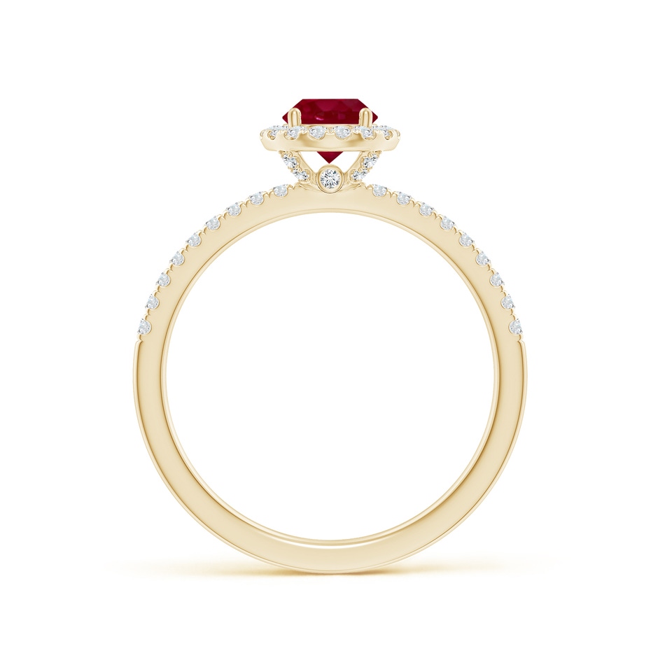 5mm AA Round Ruby Classic Halo Engagement Ring in Yellow Gold side 199