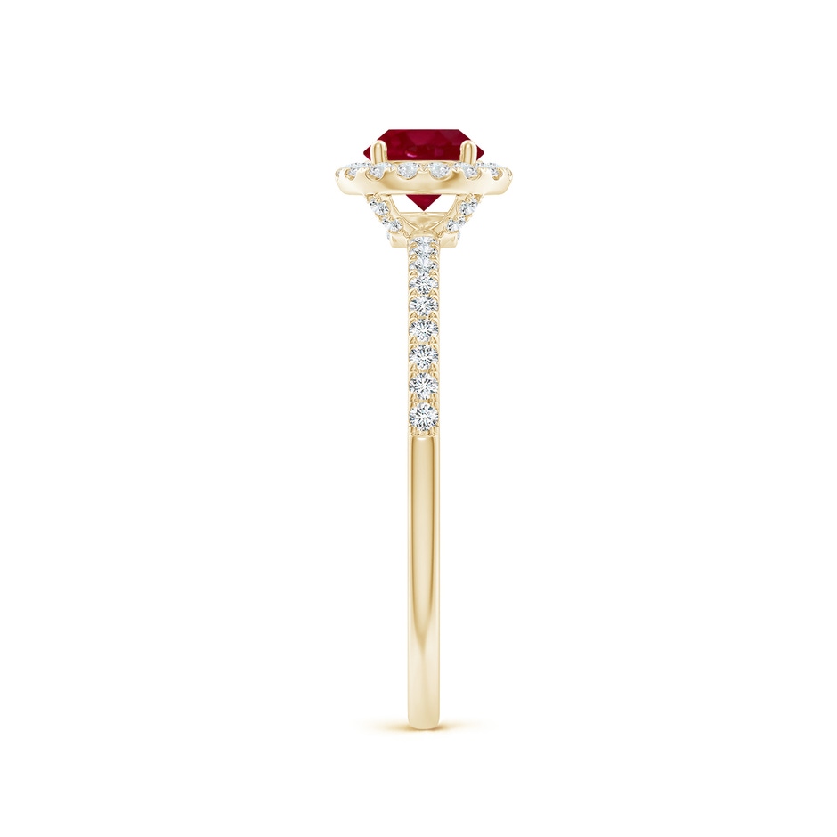 5mm AA Round Ruby Classic Halo Engagement Ring in Yellow Gold side 299