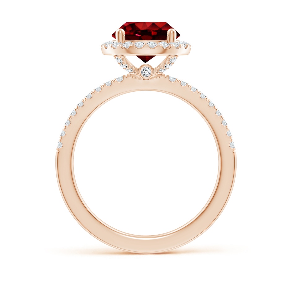 8mm AAAA Round Ruby Classic Halo Engagement Ring in 18K Rose Gold side 199