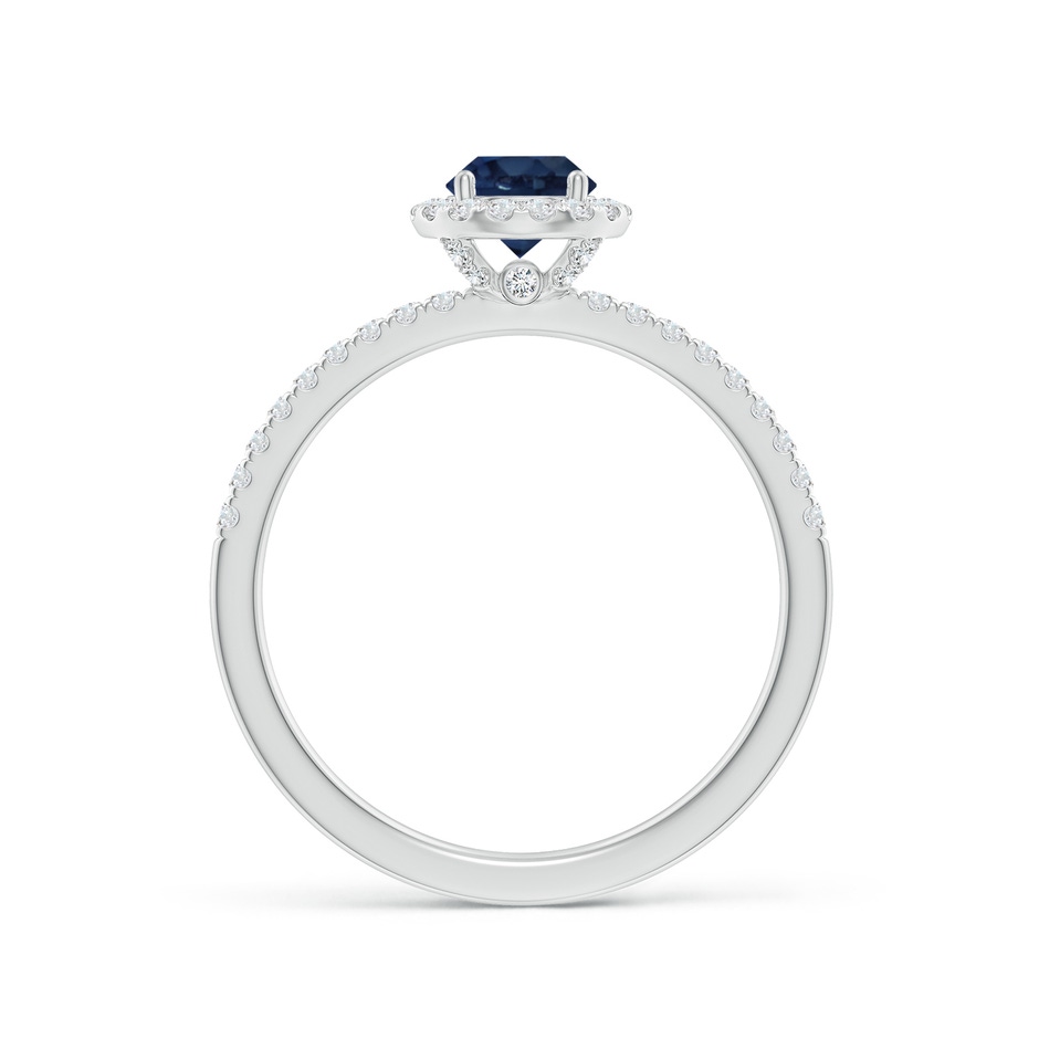 5mm AA Round Blue Sapphire Classic Halo Engagement Ring in P950 Platinum side 199