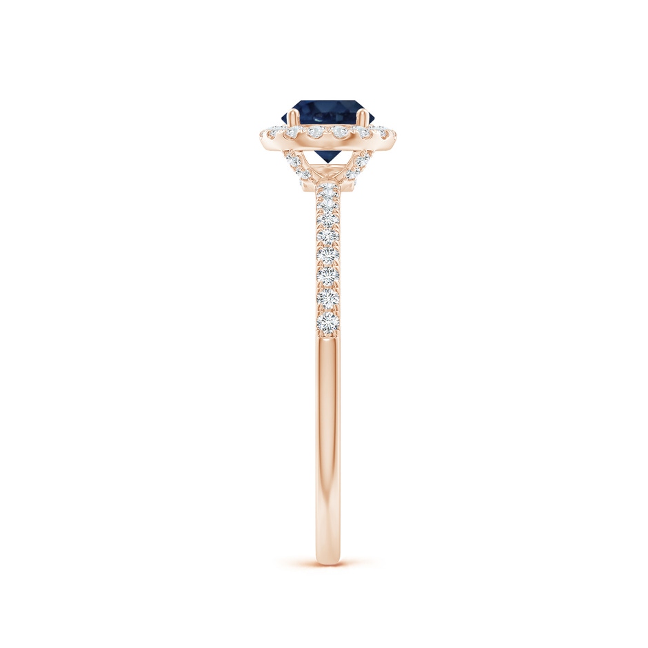 5mm AA Round Blue Sapphire Classic Halo Engagement Ring in Rose Gold side 299