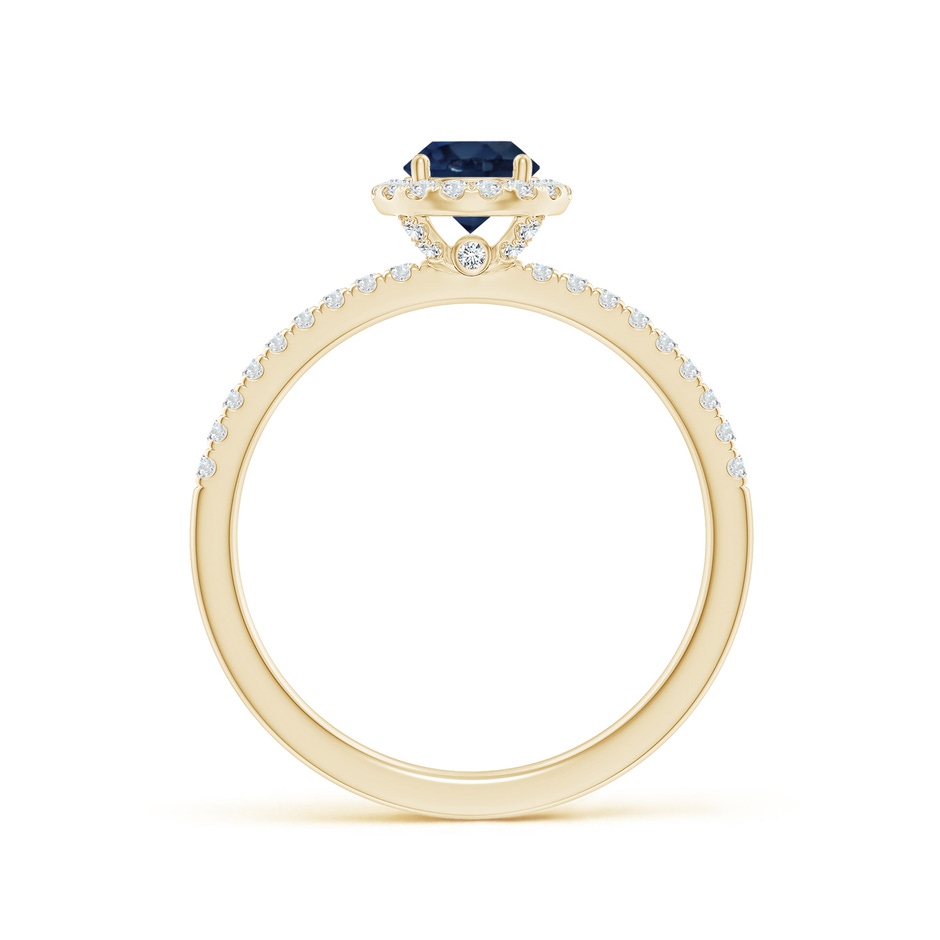 5mm AA Round Blue Sapphire Classic Halo Engagement Ring in Yellow Gold side 199