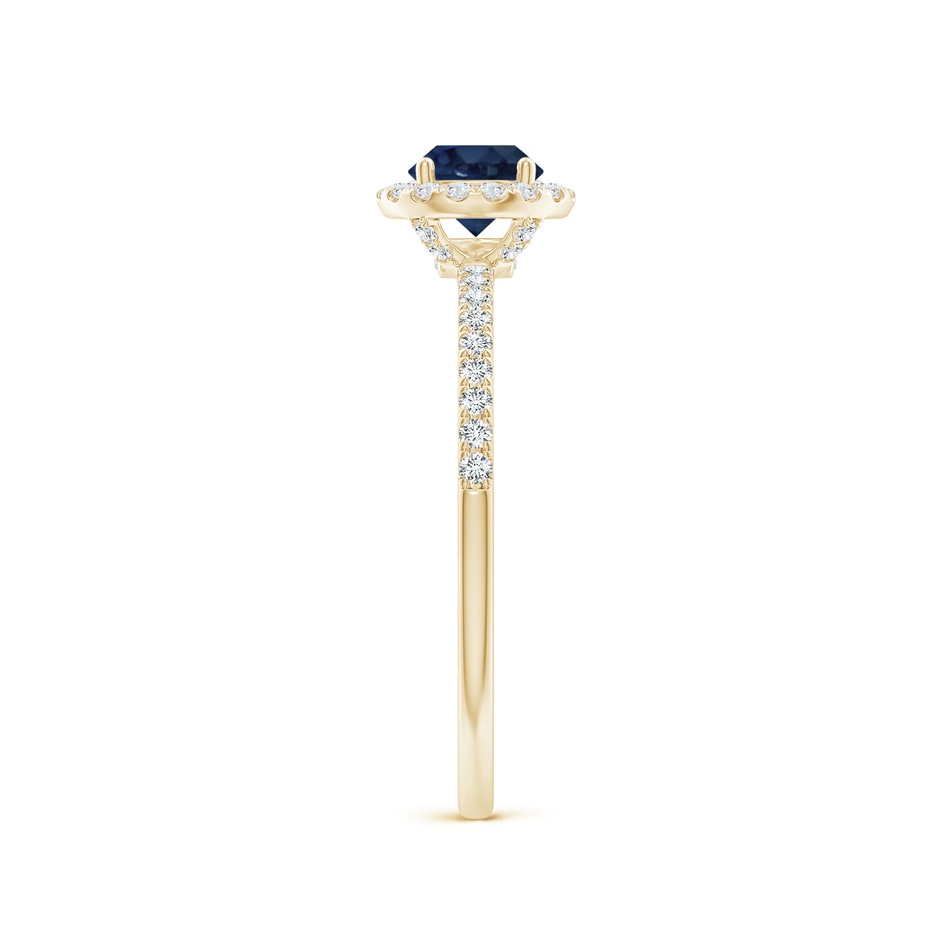 5mm AA Round Blue Sapphire Classic Halo Engagement Ring in Yellow Gold side 299