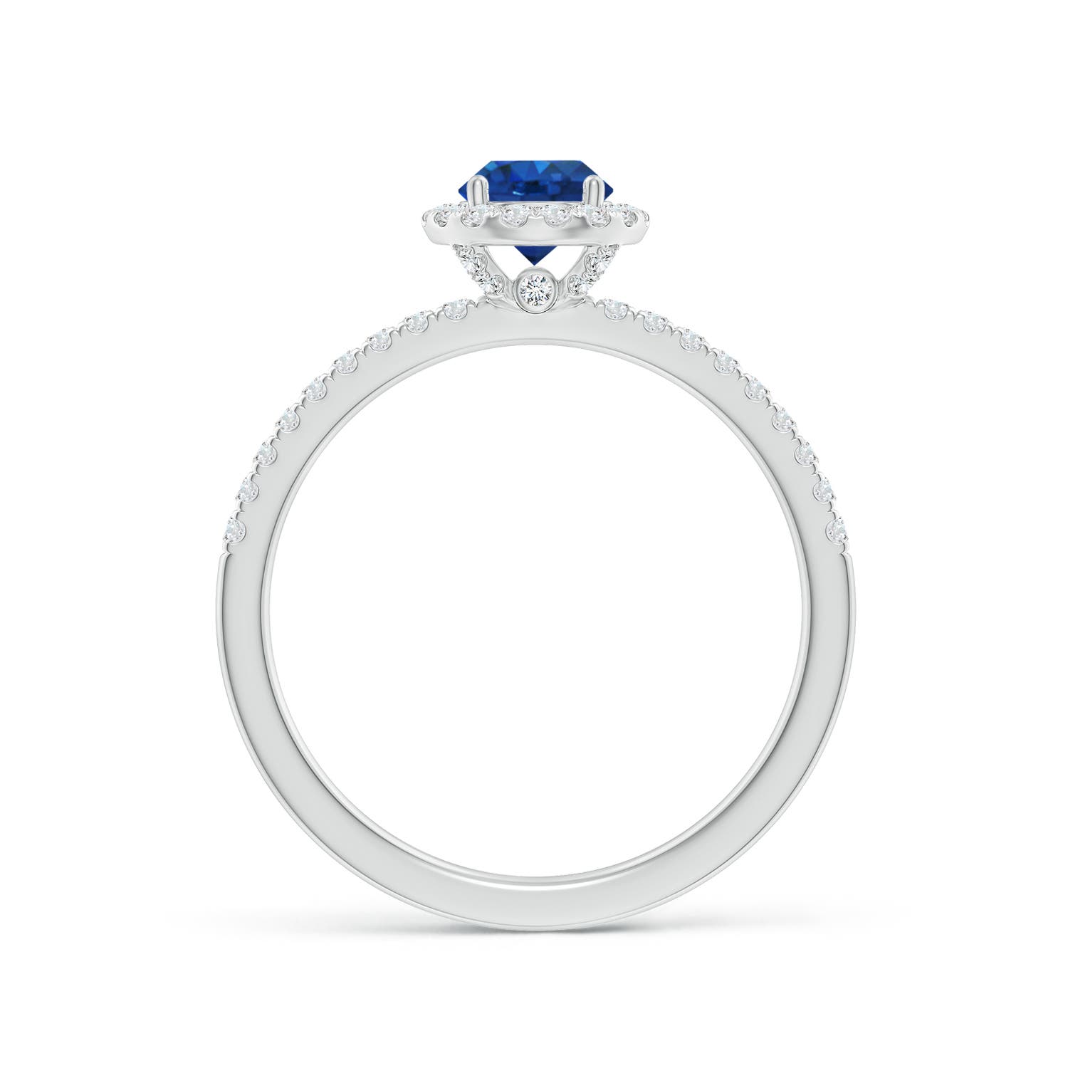 5mm AAA Round Blue Sapphire Classic Halo Engagement Ring in 18K White Gold