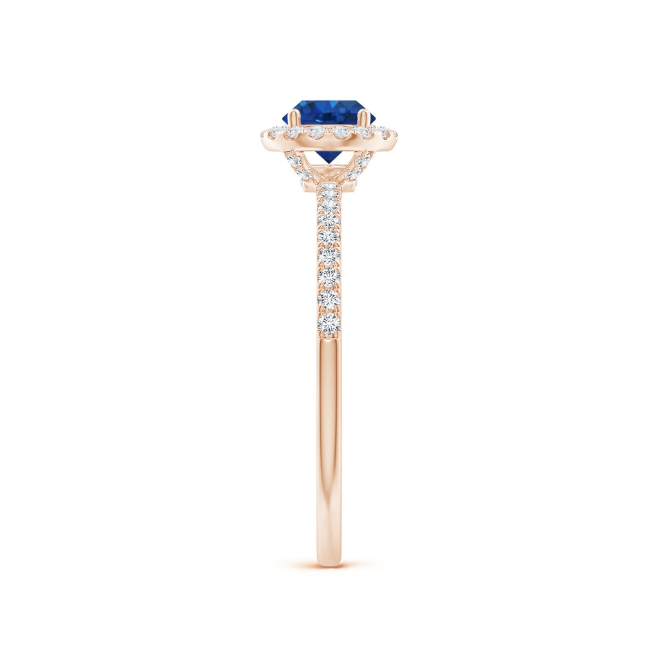 5mm AAA Round Blue Sapphire Classic Halo Engagement Ring in Rose Gold side 299