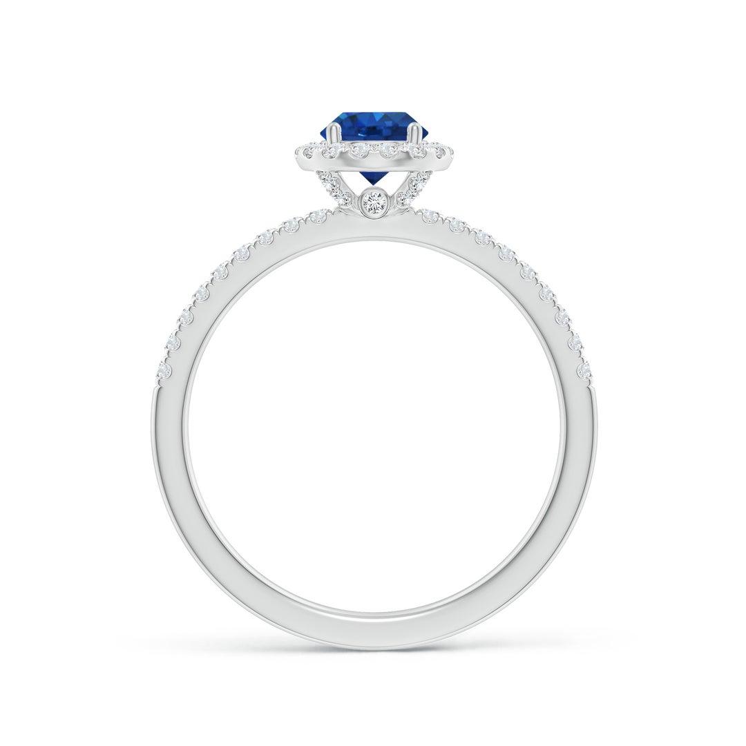 5mm AAA Round Blue Sapphire Classic Halo Engagement Ring in White Gold - side 2