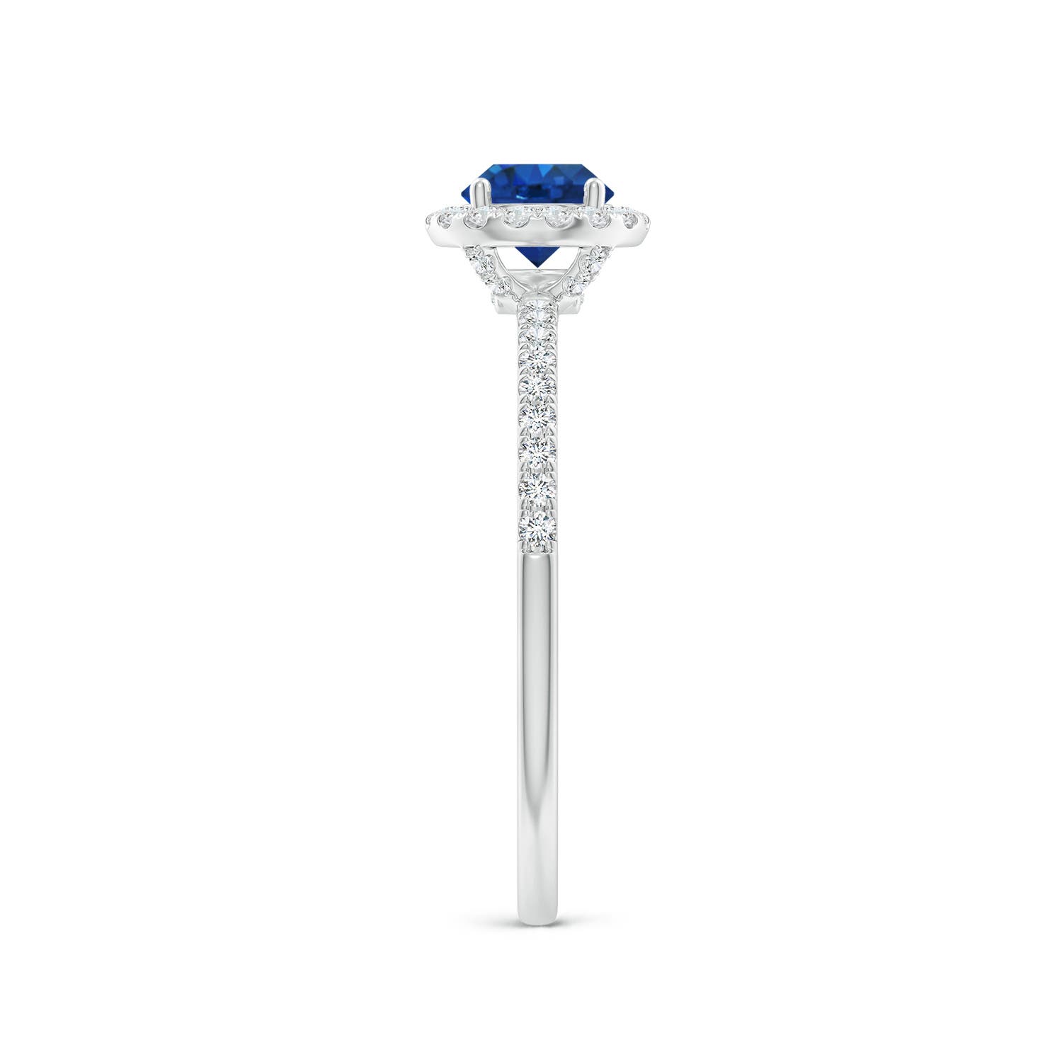 5mm AAA Round Blue Sapphire Classic Halo Engagement Ring in White Gold - side 3