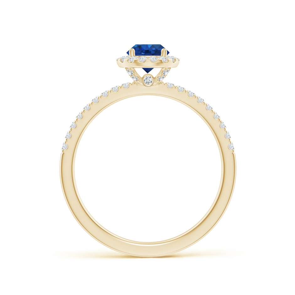 5mm AAA Round Blue Sapphire Classic Halo Engagement Ring in Yellow Gold side 199
