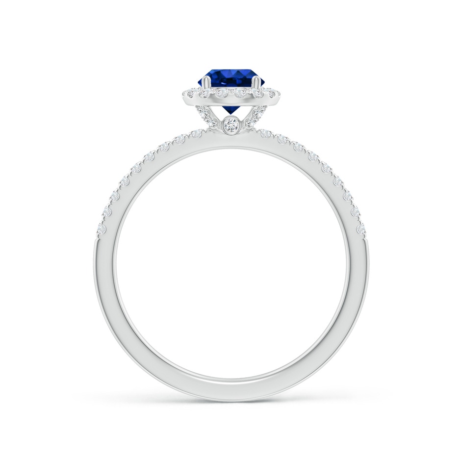 5mm AAAA Round Blue Sapphire Classic Halo Engagement Ring in P950 Platinum side 199