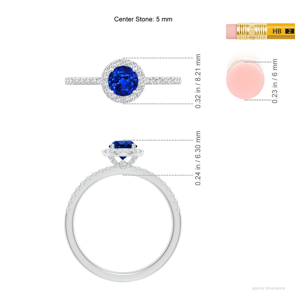 5mm AAAA Round Blue Sapphire Classic Halo Engagement Ring in P950 Platinum ruler