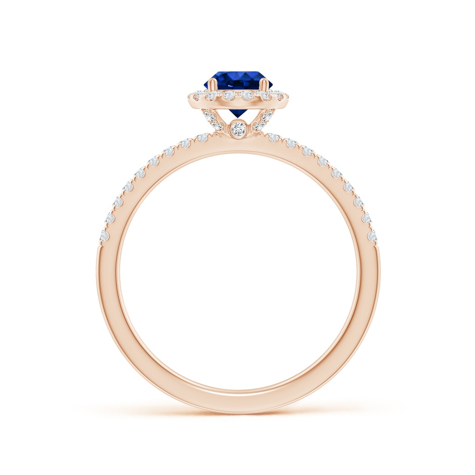 5mm AAAA Round Blue Sapphire Classic Halo Engagement Ring in Rose Gold side 199