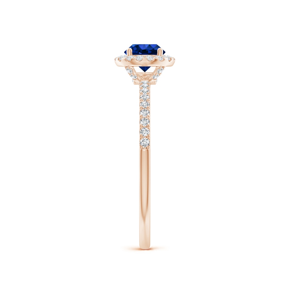 5mm AAAA Round Blue Sapphire Classic Halo Engagement Ring in Rose Gold side 299