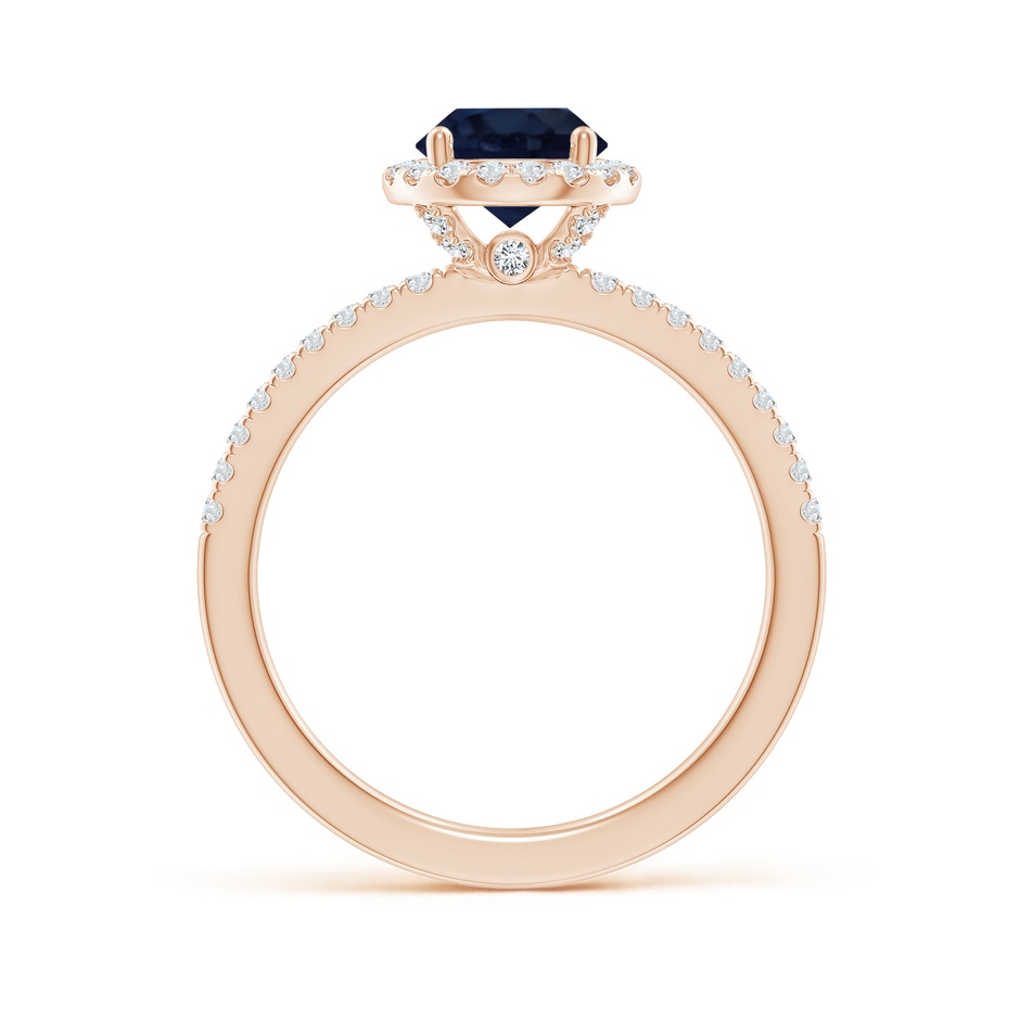 6.5mm A Round Blue Sapphire Classic Halo Engagement Ring in Rose Gold side 199