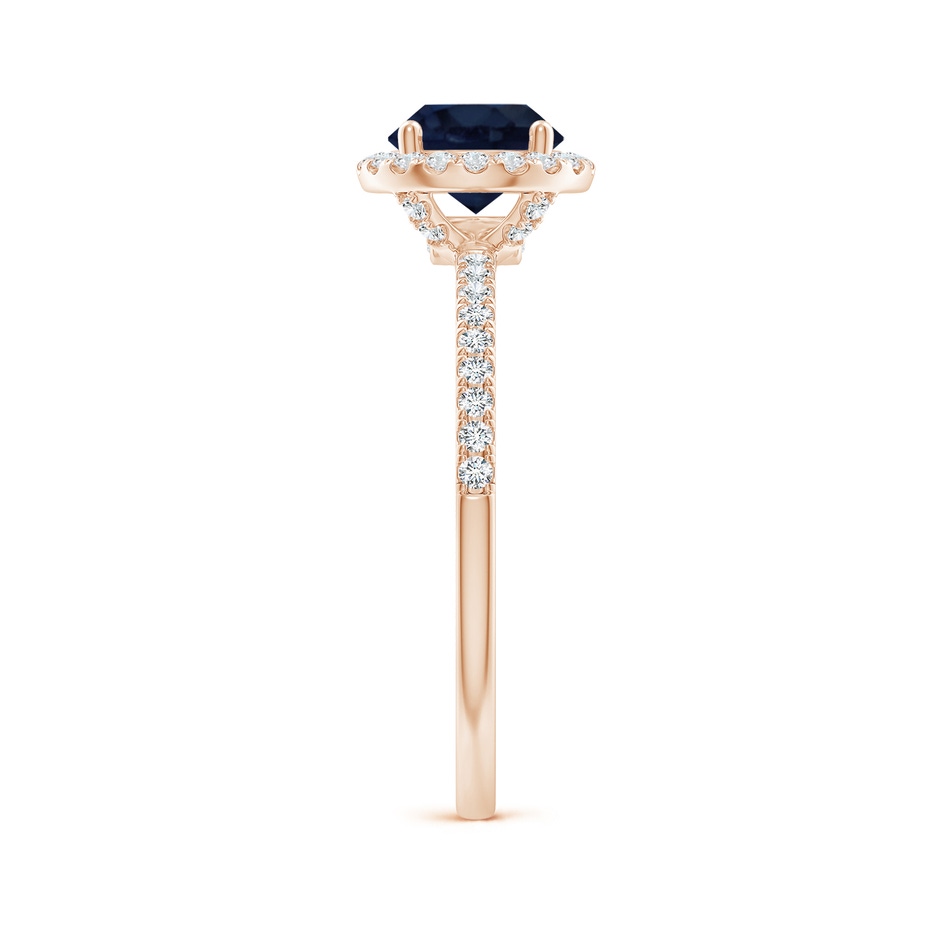 6.5mm A Round Blue Sapphire Classic Halo Engagement Ring in Rose Gold side 299