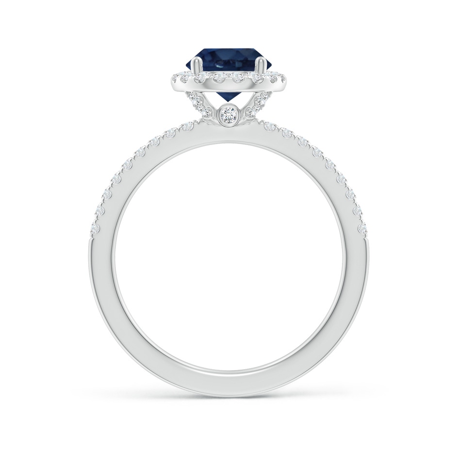 6.5mm AA Round Blue Sapphire Classic Halo Engagement Ring in P950 Platinum side 199