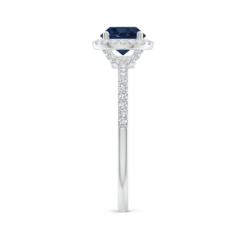 6.5mm AA Round Blue Sapphire Classic Halo Engagement Ring in P950 Platinum side 299