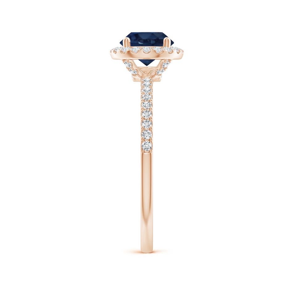 6.5mm AA Round Blue Sapphire Classic Halo Engagement Ring in Rose Gold side 299