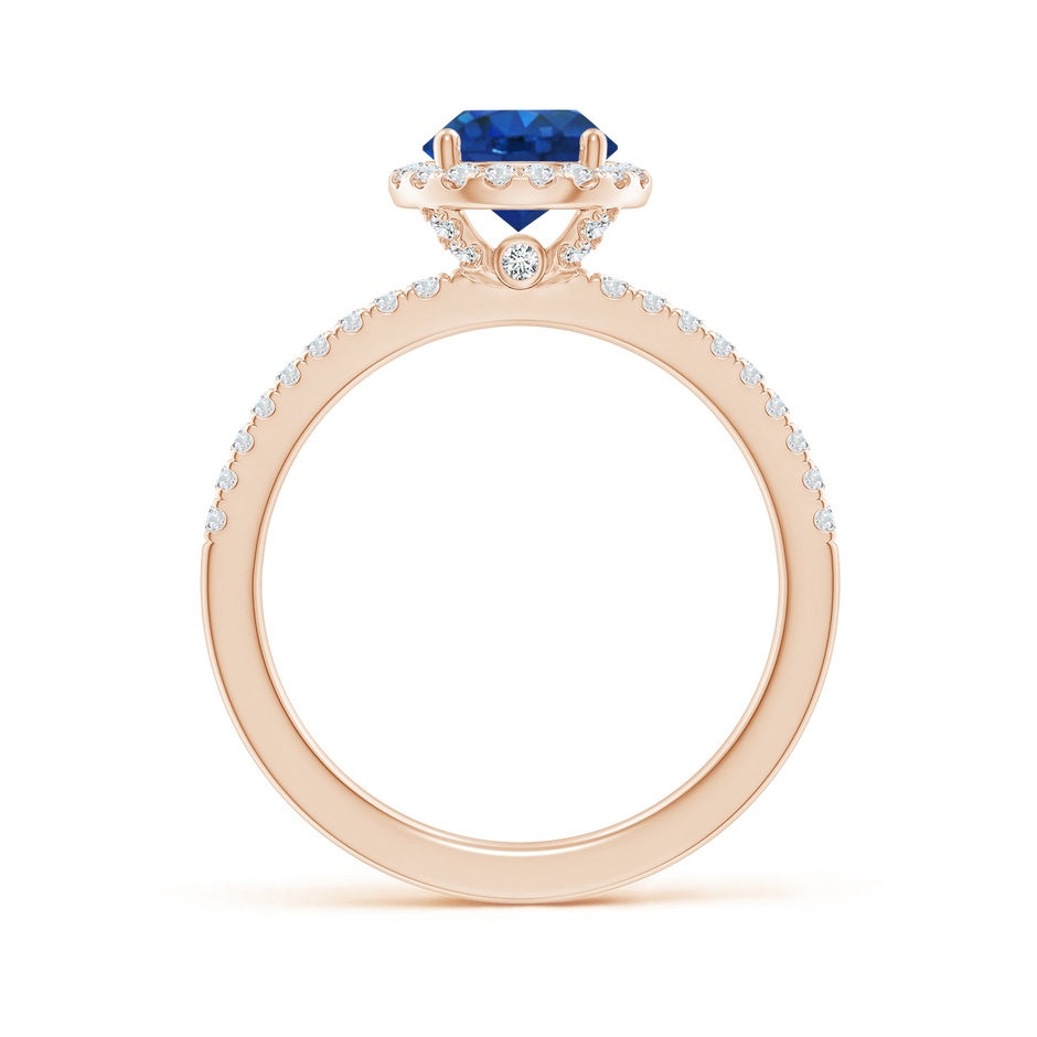 6.5mm AAA Round Blue Sapphire Classic Halo Engagement Ring in Rose Gold side 199