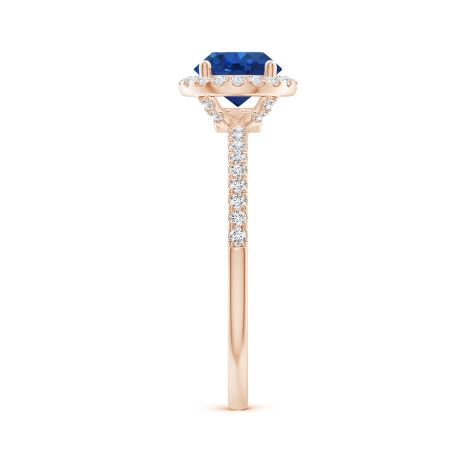 6.5mm AAA Round Blue Sapphire Classic Halo Engagement Ring in Rose Gold side 299