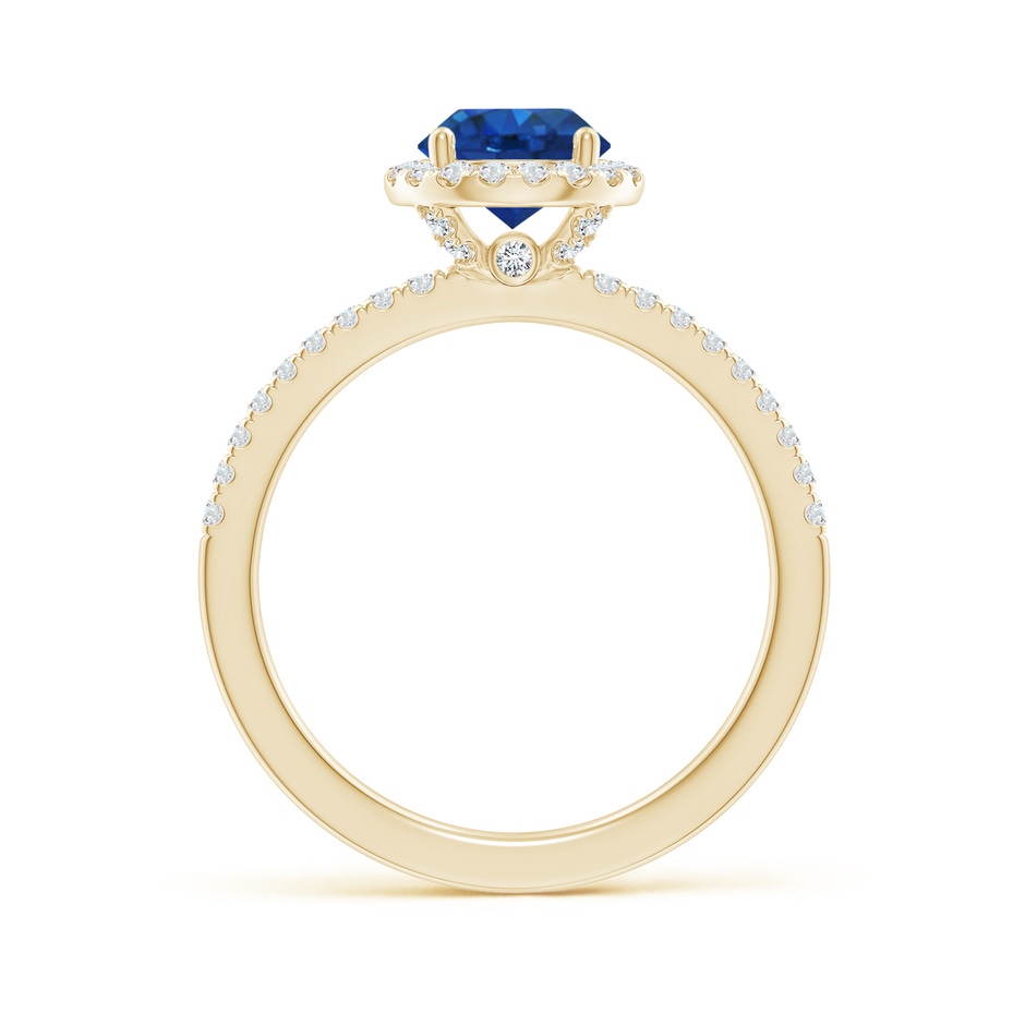 6.5mm AAA Round Blue Sapphire Classic Halo Engagement Ring in Yellow Gold side 199
