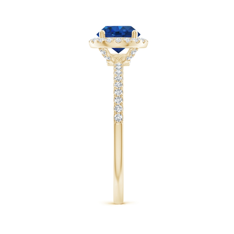6.5mm AAA Round Blue Sapphire Classic Halo Engagement Ring in Yellow Gold side 299