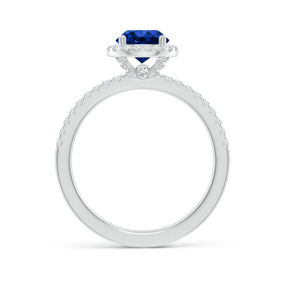 6.5mm AAAA Round Blue Sapphire Classic Halo Engagement Ring in P950 Platinum side 199