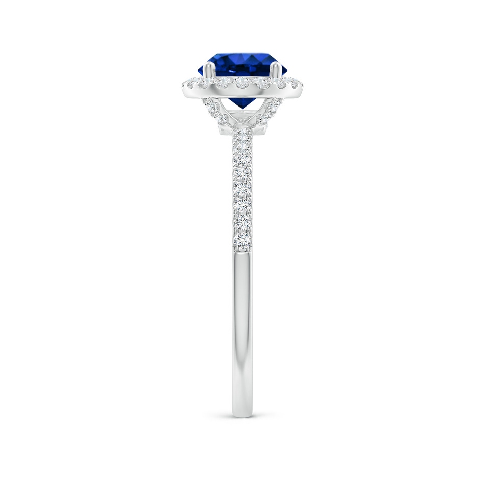 6.5mm AAAA Round Blue Sapphire Classic Halo Engagement Ring in P950 Platinum side 299